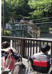 動物園②